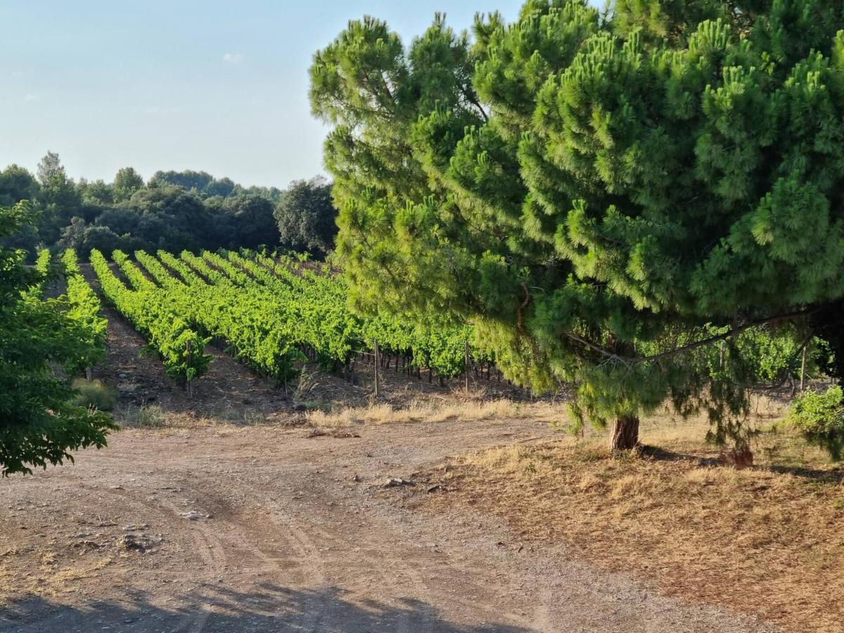 Gites De L'Estagnol Villeneuve-lès-Maguelonne Exteriör bild