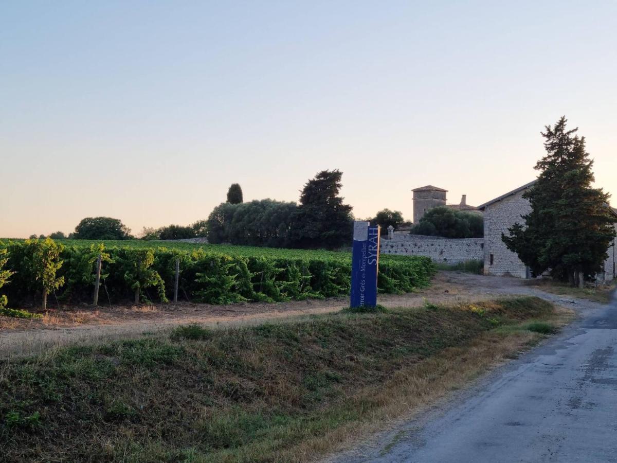 Gites De L'Estagnol Villeneuve-lès-Maguelonne Exteriör bild