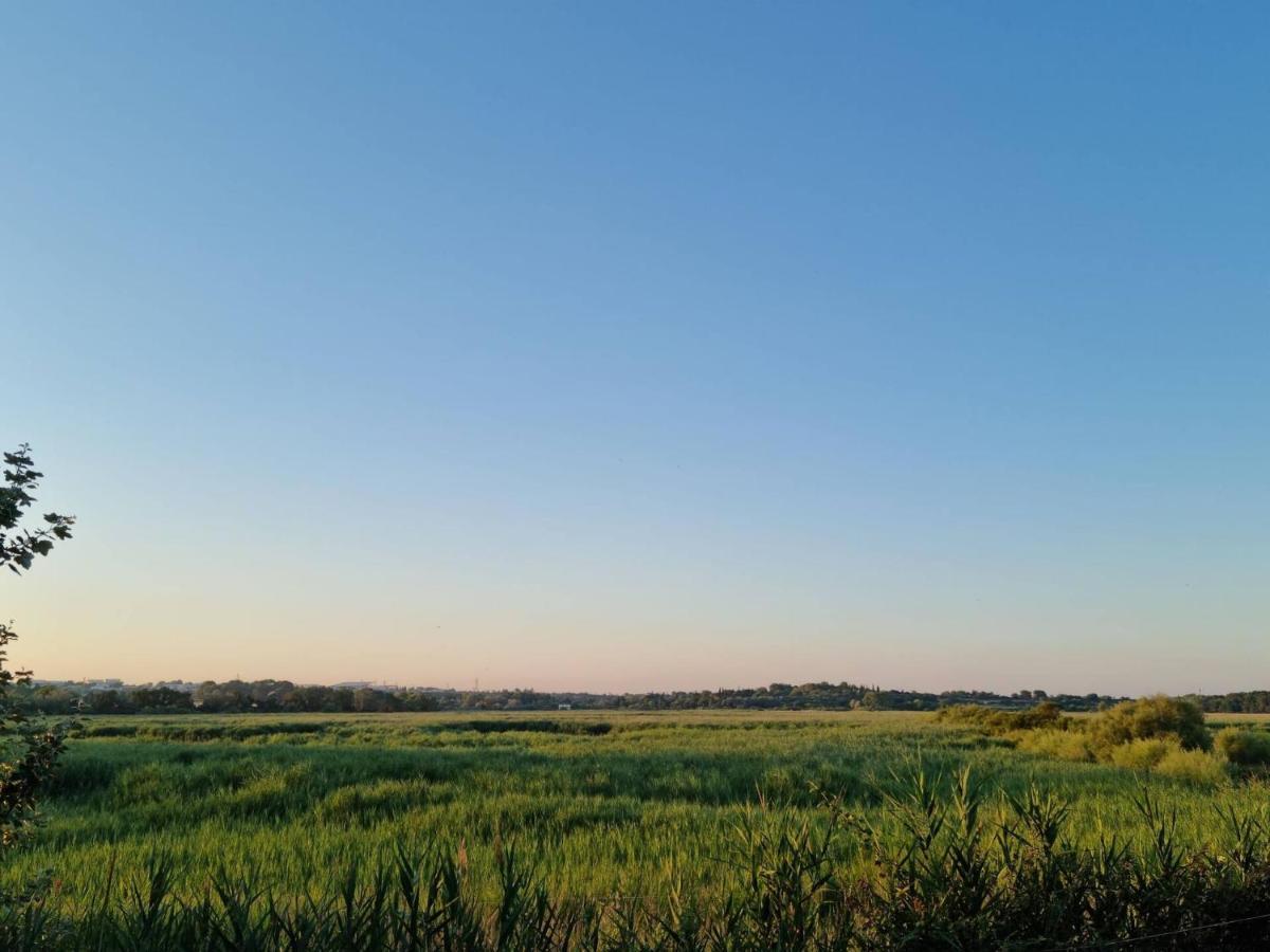 Gites De L'Estagnol Villeneuve-lès-Maguelonne Exteriör bild