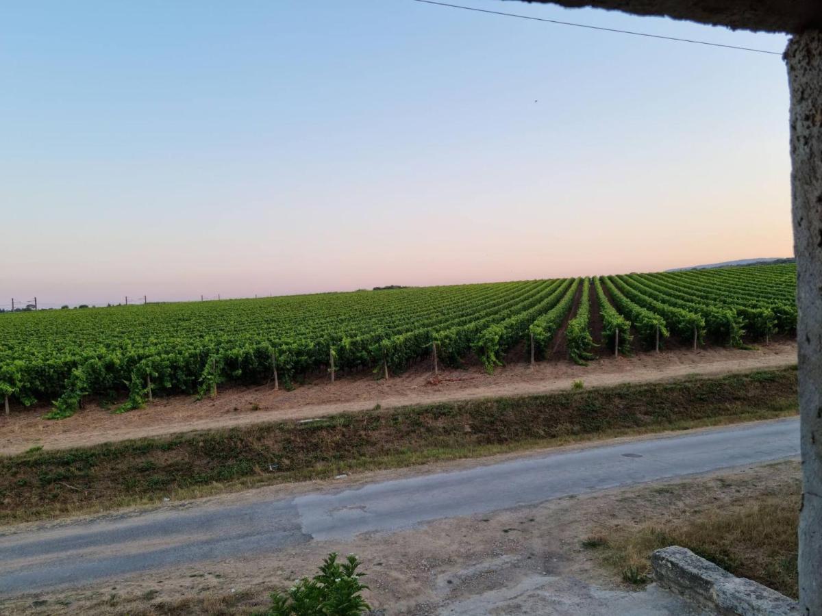 Gites De L'Estagnol Villeneuve-lès-Maguelonne Exteriör bild